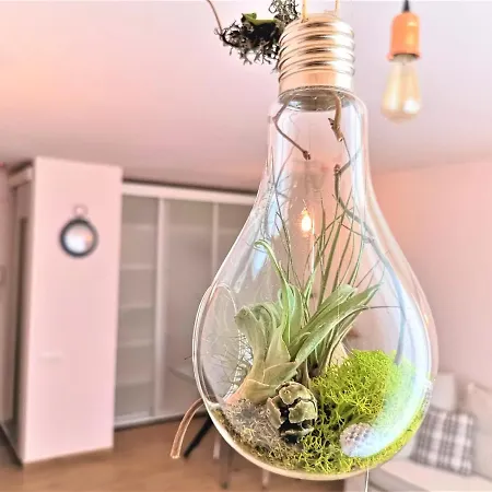 Green Globe Apartment Bucharest